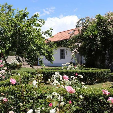 Hotel Monte Dos Papa Figos São Teotónio Esterno foto