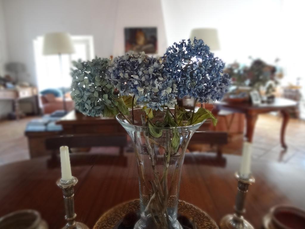 Hotel Monte Dos Papa Figos São Teotónio Esterno foto
