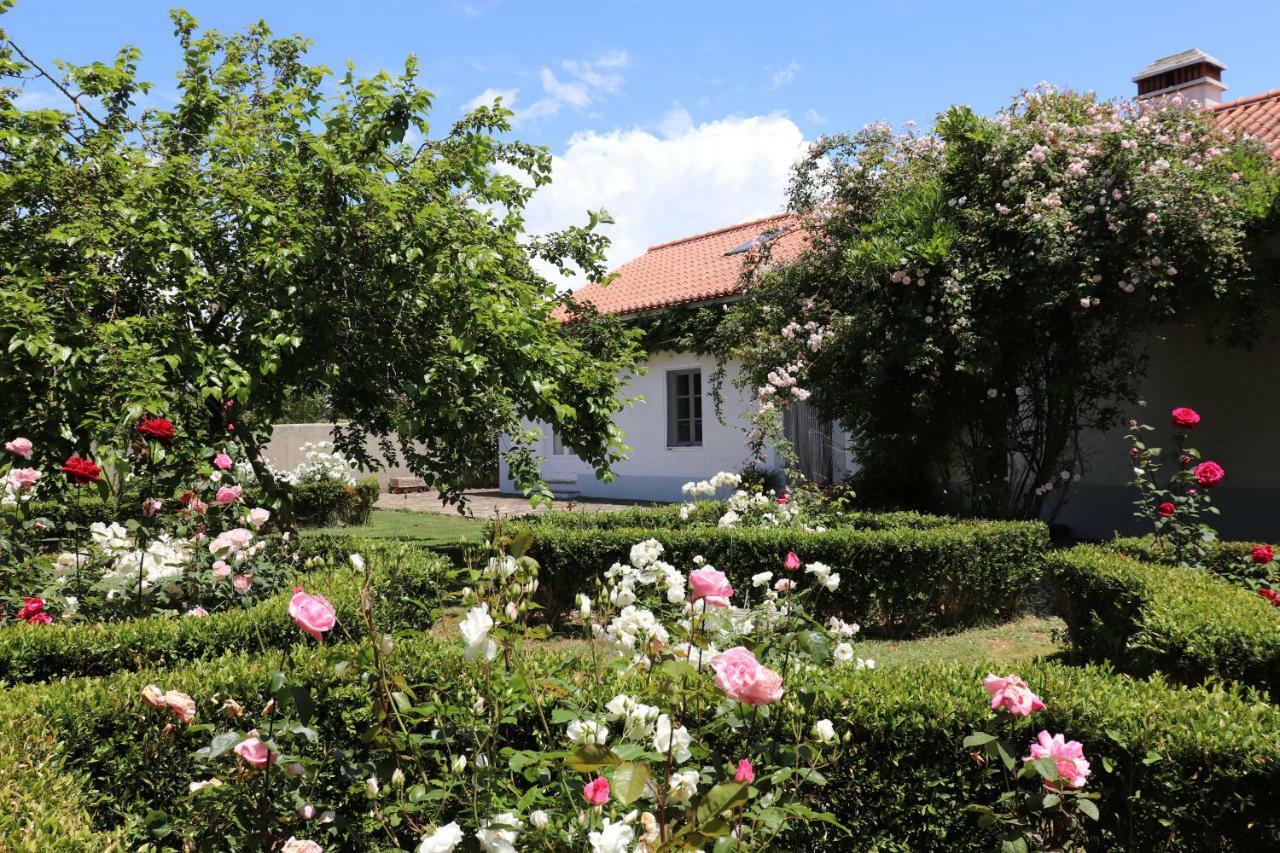 Hotel Monte Dos Papa Figos São Teotónio Esterno foto